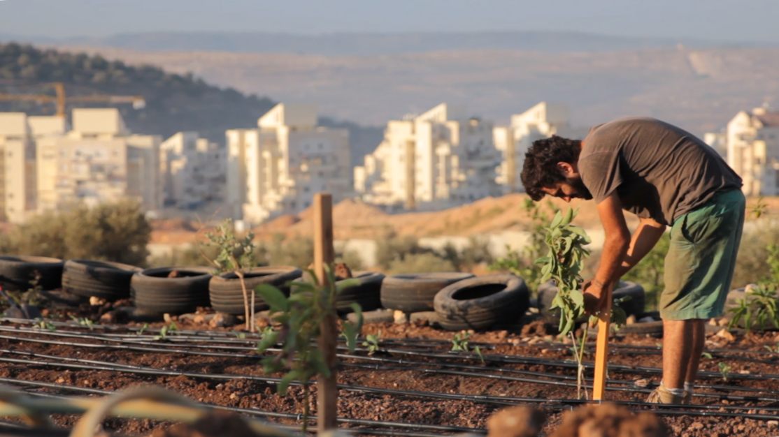 PALESTINA, TIERRA ADENTRO: UN DOCUMENTAL A LA SOMBRA DEL MURO